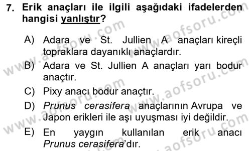 Bahçe Tarımı Dersi 2024 - 2025 Yılı (Vize) Ara Sınav Soruları 7. Soru