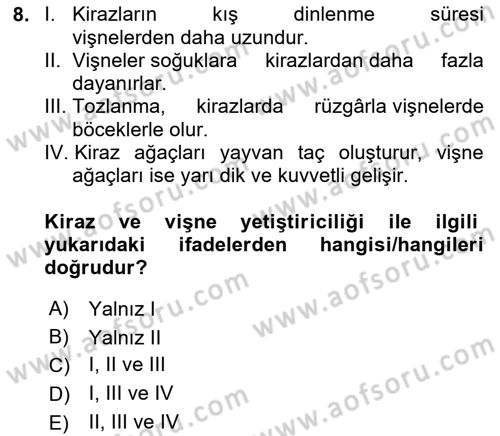Bahçe Tarımı Dersi 2024 - 2025 Yılı (Vize) Ara Sınav Soruları 8. Soru