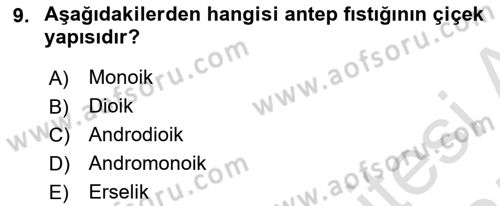 Bahçe Tarımı Dersi 2024 - 2025 Yılı (Vize) Ara Sınav Soruları 9. Soru