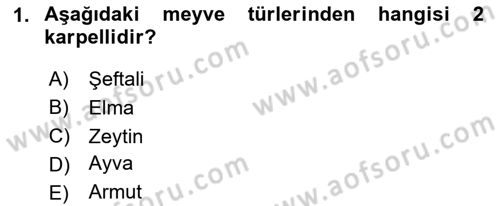 Bahçe Tarımı Dersi 2024 - 2025 Yılı (Final) Dönem Sonu Sınav Soruları 1. Soru