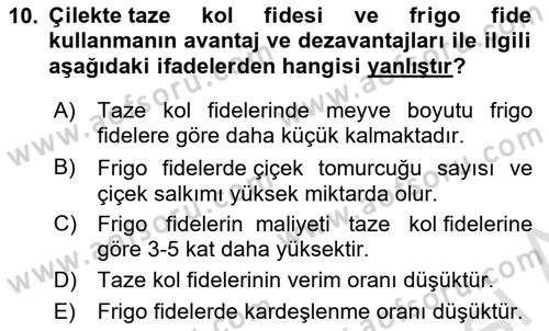 Bahçe Tarımı Dersi 2024 - 2025 Yılı (Final) Dönem Sonu Sınav Soruları 10. Soru