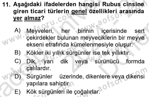 Bahçe Tarımı Dersi 2024 - 2025 Yılı (Final) Dönem Sonu Sınav Soruları 11. Soru