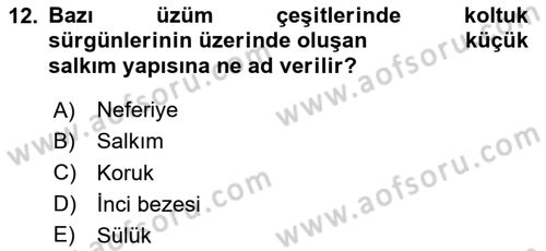 Bahçe Tarımı Dersi 2024 - 2025 Yılı (Final) Dönem Sonu Sınav Soruları 12. Soru