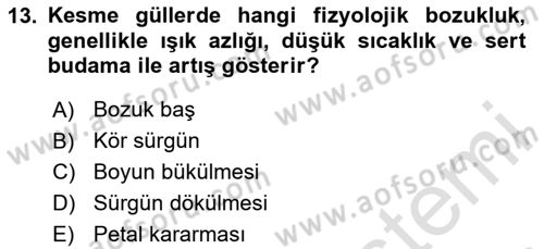 Bahçe Tarımı Dersi 2024 - 2025 Yılı (Final) Dönem Sonu Sınav Soruları 13. Soru