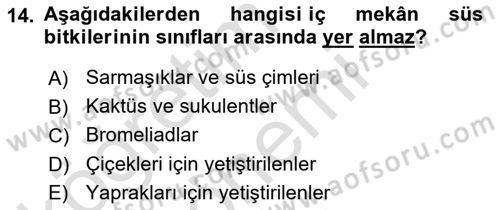 Bahçe Tarımı Dersi 2024 - 2025 Yılı (Final) Dönem Sonu Sınav Soruları 14. Soru