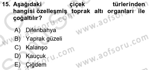 Bahçe Tarımı Dersi 2024 - 2025 Yılı (Final) Dönem Sonu Sınav Soruları 15. Soru