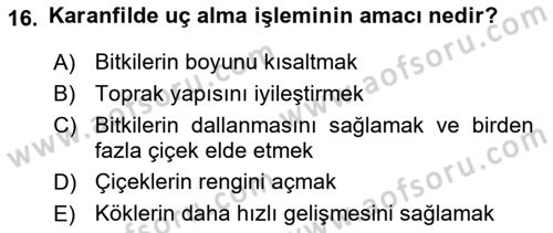 Bahçe Tarımı Dersi 2024 - 2025 Yılı (Final) Dönem Sonu Sınav Soruları 16. Soru