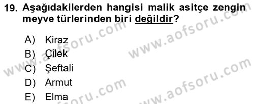 Bahçe Tarımı Dersi 2024 - 2025 Yılı (Final) Dönem Sonu Sınav Soruları 19. Soru