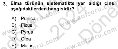 Bahçe Tarımı Dersi 2024 - 2025 Yılı (Final) Dönem Sonu Sınav Soruları 3. Soru