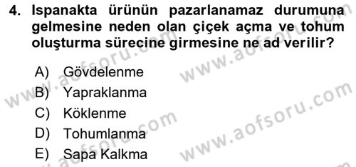 Bahçe Tarımı Dersi 2024 - 2025 Yılı (Final) Dönem Sonu Sınav Soruları 4. Soru