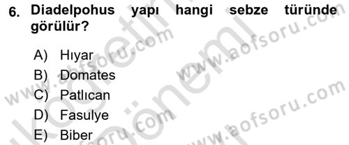 Bahçe Tarımı Dersi 2024 - 2025 Yılı (Final) Dönem Sonu Sınav Soruları 6. Soru