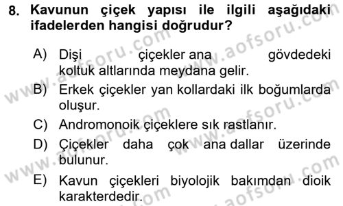 Bahçe Tarımı Dersi 2024 - 2025 Yılı (Final) Dönem Sonu Sınav Soruları 8. Soru