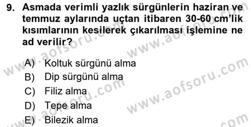 Bahçe Tarımı Dersi 2024 - 2025 Yılı (Final) Dönem Sonu Sınav Soruları 9. Soru
