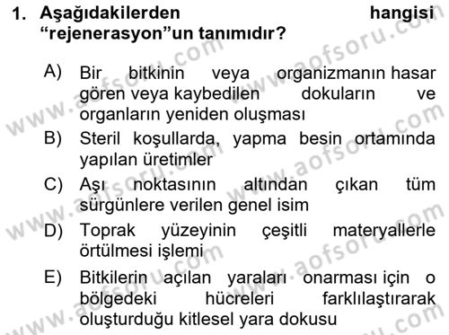Bahçe Tarımı Dersi 2024 - 2025 Yılı Yaz Okulu Sınav Soruları 1. Soru