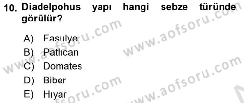 Bahçe Tarımı Dersi 2024 - 2025 Yılı Yaz Okulu Sınav Soruları 10. Soru