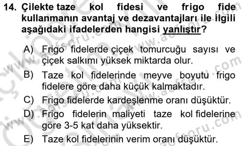Bahçe Tarımı Dersi 2024 - 2025 Yılı Yaz Okulu Sınav Soruları 14. Soru