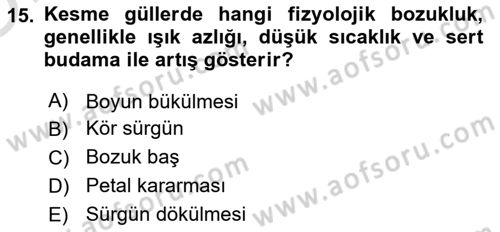 Bahçe Tarımı Dersi 2024 - 2025 Yılı Yaz Okulu Sınav Soruları 15. Soru