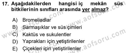 Bahçe Tarımı Dersi 2024 - 2025 Yılı Yaz Okulu Sınav Soruları 17. Soru