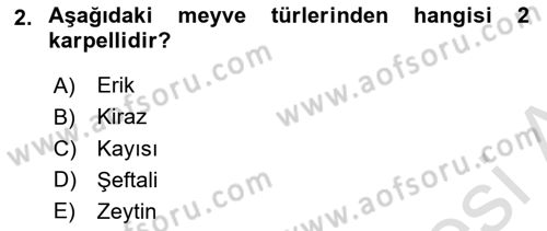 Bahçe Tarımı Dersi 2024 - 2025 Yılı Yaz Okulu Sınav Soruları 2. Soru