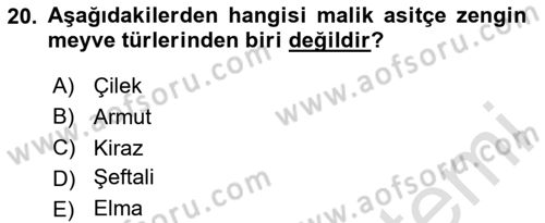 Bahçe Tarımı Dersi 2024 - 2025 Yılı Yaz Okulu Sınav Soruları 20. Soru