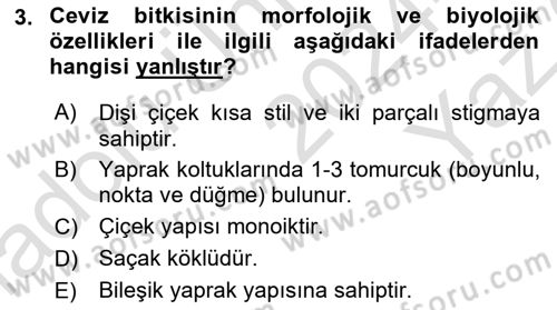 Bahçe Tarımı Dersi 2024 - 2025 Yılı Yaz Okulu Sınav Soruları 3. Soru