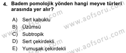 Bahçe Tarımı Dersi 2024 - 2025 Yılı Yaz Okulu Sınav Soruları 4. Soru