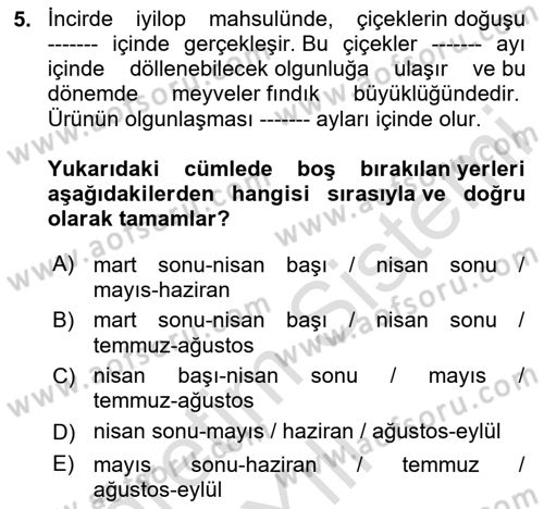 Bahçe Tarımı Dersi 2024 - 2025 Yılı Yaz Okulu Sınav Soruları 5. Soru