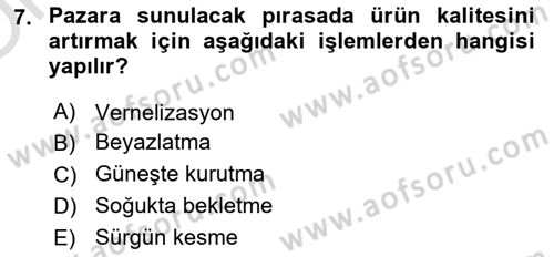 Bahçe Tarımı Dersi 2024 - 2025 Yılı Yaz Okulu Sınav Soruları 7. Soru