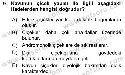 Bahçe Tarımı Dersi 2024 - 2025 Yılı Yaz Okulu Sınav Soruları 9. Soru