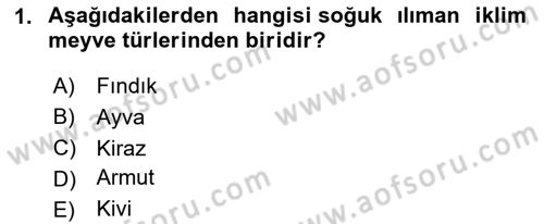 Bahçe Tarımı Dersi 2025 - 2026 Yılı (Vize) Ara Sınav Soruları 1. Soru
