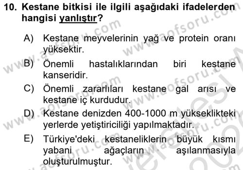 Bahçe Tarımı Dersi 2025 - 2026 Yılı (Vize) Ara Sınav Soruları 10. Soru