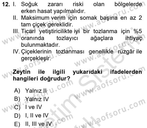 Bahçe Tarımı Dersi 2025 - 2026 Yılı (Vize) Ara Sınav Soruları 12. Soru