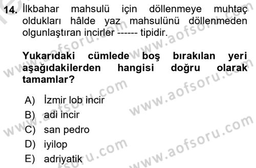 Bahçe Tarımı Dersi 2025 - 2026 Yılı (Vize) Ara Sınav Soruları 14. Soru