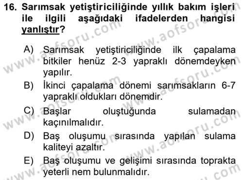 Bahçe Tarımı Dersi 2025 - 2026 Yılı (Vize) Ara Sınav Soruları 16. Soru