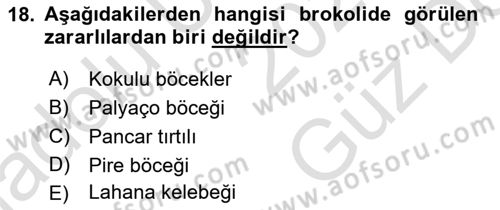 Bahçe Tarımı Dersi 2025 - 2026 Yılı (Vize) Ara Sınav Soruları 18. Soru