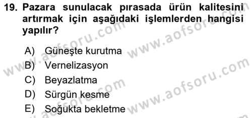 Bahçe Tarımı Dersi 2025 - 2026 Yılı (Vize) Ara Sınav Soruları 19. Soru