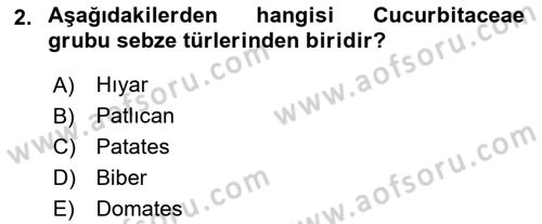 Bahçe Tarımı Dersi 2025 - 2026 Yılı (Vize) Ara Sınav Soruları 2. Soru