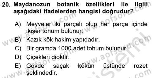 Bahçe Tarımı Dersi 2025 - 2026 Yılı (Vize) Ara Sınav Soruları 20. Soru