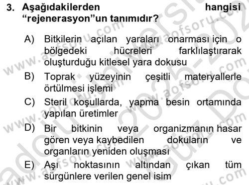 Bahçe Tarımı Dersi 2025 - 2026 Yılı (Vize) Ara Sınav Soruları 3. Soru