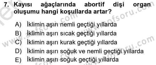 Bahçe Tarımı Dersi 2025 - 2026 Yılı (Vize) Ara Sınav Soruları 7. Soru