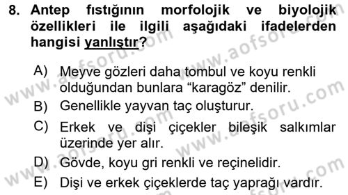 Bahçe Tarımı Dersi 2025 - 2026 Yılı (Vize) Ara Sınav Soruları 8. Soru