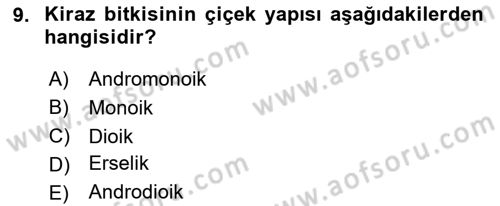 Bahçe Tarımı Dersi 2025 - 2026 Yılı (Vize) Ara Sınav Soruları 9. Soru
