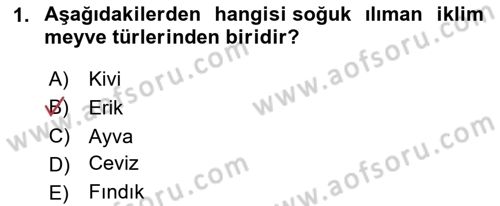 Bahçe Tarımı Dersi 2025 - 2026 Yılı (Final) Dönem Sonu Sınav Soruları 1. Soru
