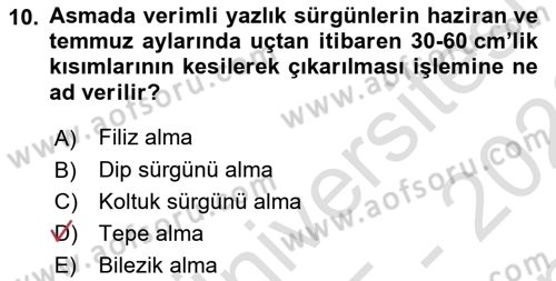 Bahçe Tarımı Dersi 2025 - 2026 Yılı (Final) Dönem Sonu Sınav Soruları 10. Soru