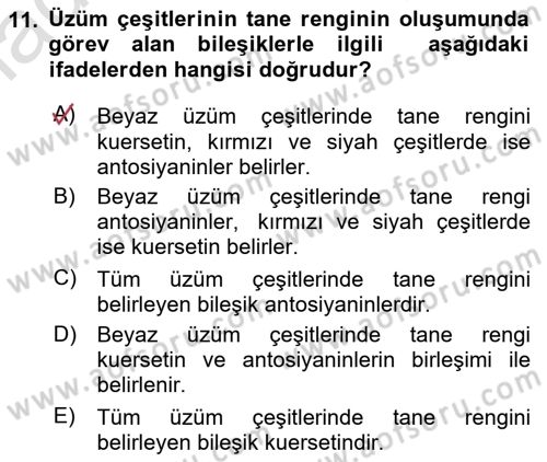 Bahçe Tarımı Dersi 2025 - 2026 Yılı (Final) Dönem Sonu Sınav Soruları 11. Soru