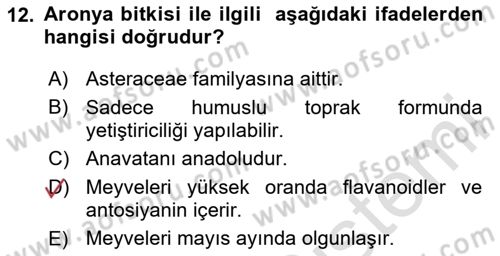 Bahçe Tarımı Dersi 2025 - 2026 Yılı (Final) Dönem Sonu Sınav Soruları 12. Soru