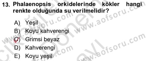 Bahçe Tarımı Dersi 2025 - 2026 Yılı (Final) Dönem Sonu Sınav Soruları 13. Soru