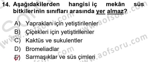 Bahçe Tarımı Dersi 2025 - 2026 Yılı (Final) Dönem Sonu Sınav Soruları 14. Soru