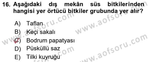 Bahçe Tarımı Dersi 2025 - 2026 Yılı (Final) Dönem Sonu Sınav Soruları 16. Soru