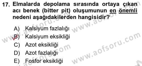 Bahçe Tarımı Dersi 2025 - 2026 Yılı (Final) Dönem Sonu Sınav Soruları 17. Soru